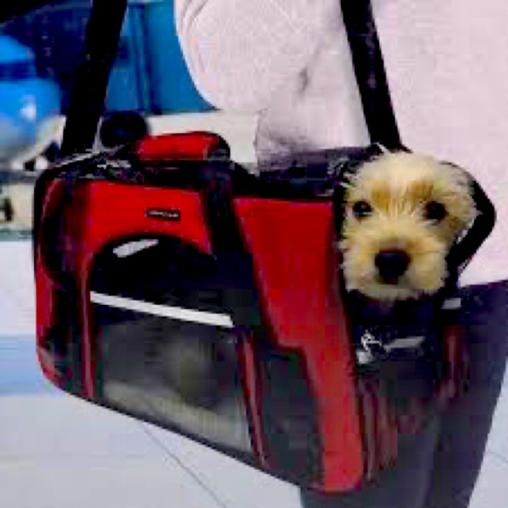 Spyder Small Dog or Cat Pet Carrier (Airplane Approved) New In Box